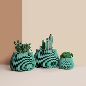 3D Printed Cactus, Succulent Planters, Interior Plant Pots, Mid Century Planters, Eco-Friendly Gift Idea for Home, Large Planter Pot