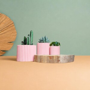 May include: Three cylindrical light pink planters with a vertical ribbed texture, each containing a small green succulent plant. The planters are arranged in a row, with the largest on the left and the smallest on the right.
