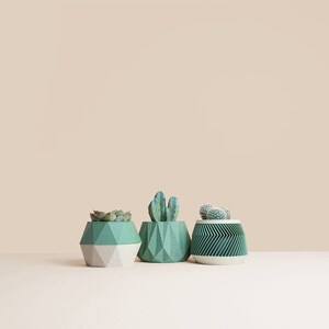 May include: Three geometric concrete planters in green and white with different shapes and textures, each holding a small succulent plant.
