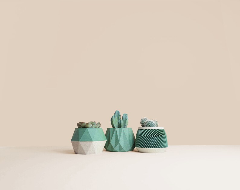 May include: Three geometric concrete planters in green and white with different shapes and textures, each holding a small succulent plant.