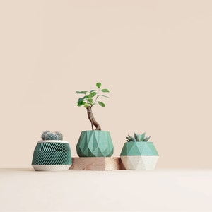 May include: Three geometric green planters with different plant life. The planters are made of a textured material and have a modern design.