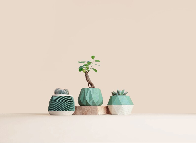 May include: Three geometric green planters with different plant life. The planters are made of a textured material and have a modern design.