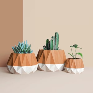 Cache-pot  en bois recyclé pour cactus et succulentes, idée de décoration pour maison et bureau, Scandinave Design, cadeau pour la Maison