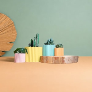 May include: Four cylindrical planters with a vertical ribbed texture in pastel pink, bright yellow, light blue, and soft orange. Each planter holds a small green succulent plant. The planters are arranged on a flat surface.