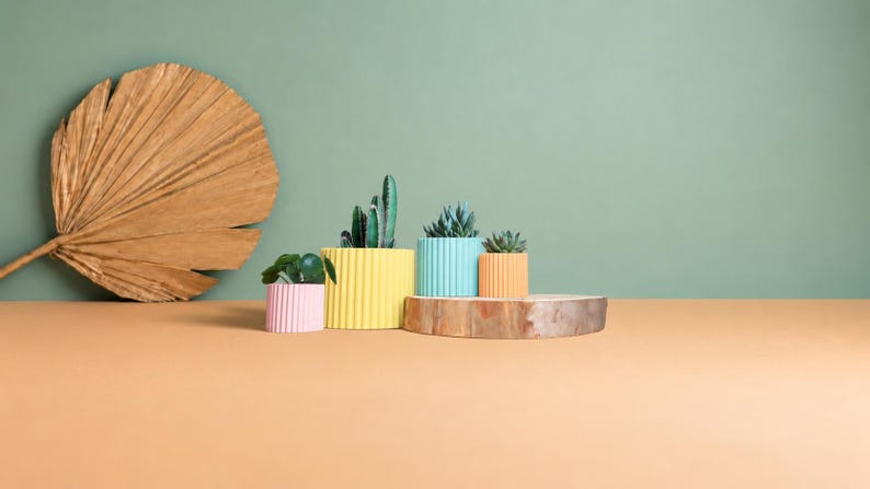 May include: Four cylindrical planters with a vertical ribbed texture in pastel pink, bright yellow, light blue, and soft orange. Each planter holds a small green succulent plant. The planters are arranged on a flat surface.
