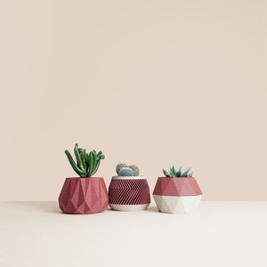 May include: Three geometric planters in shades of red and white, each holding a different succulent plant. The planters are made of a textured material and have a modern, minimalist design.
