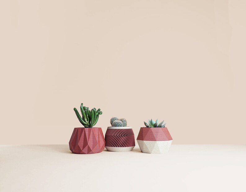 May include: Three geometric planters in shades of red and white, each holding a different succulent plant. The planters are made of a textured material and have a modern, minimalist design.