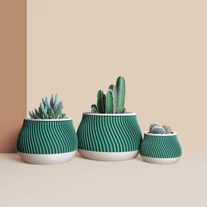 Pflanzgefäß aus recyceltem Holz für Kakteen und Sukkulenten, Dekorationsidee für Zuhause und Büro, skandinavisches Design, Geschenk für Zuhause