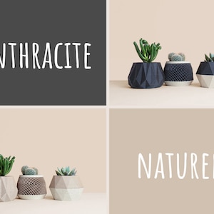 May include: Three geometric concrete planters with succulents. The planters are in black, white, and gray. The text "ANTHRACITE" and "NATUREL" are visible in the image.