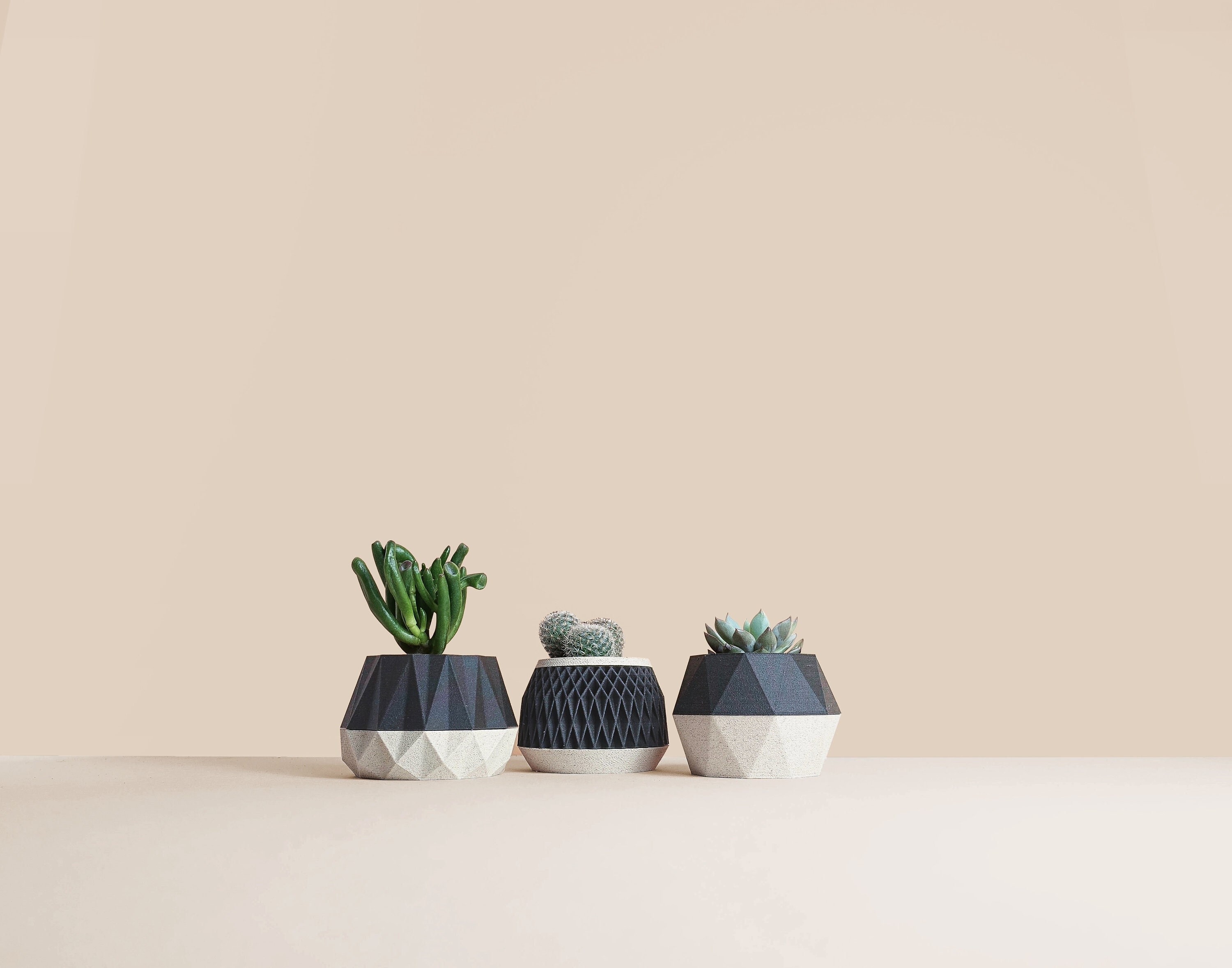 Lot de 3 Pots Pour Cactus, Succulentes, Idée Décoration Maison et Bureau, Scandinave Design, Cadeau 