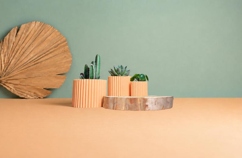 May include: Three cylindrical peach-colored planters with vertical ribbed textures, each containing a small green plant. The planters are arranged on a natural wood slice, accompanied by a large, dried, fan-shaped palm leaf.
