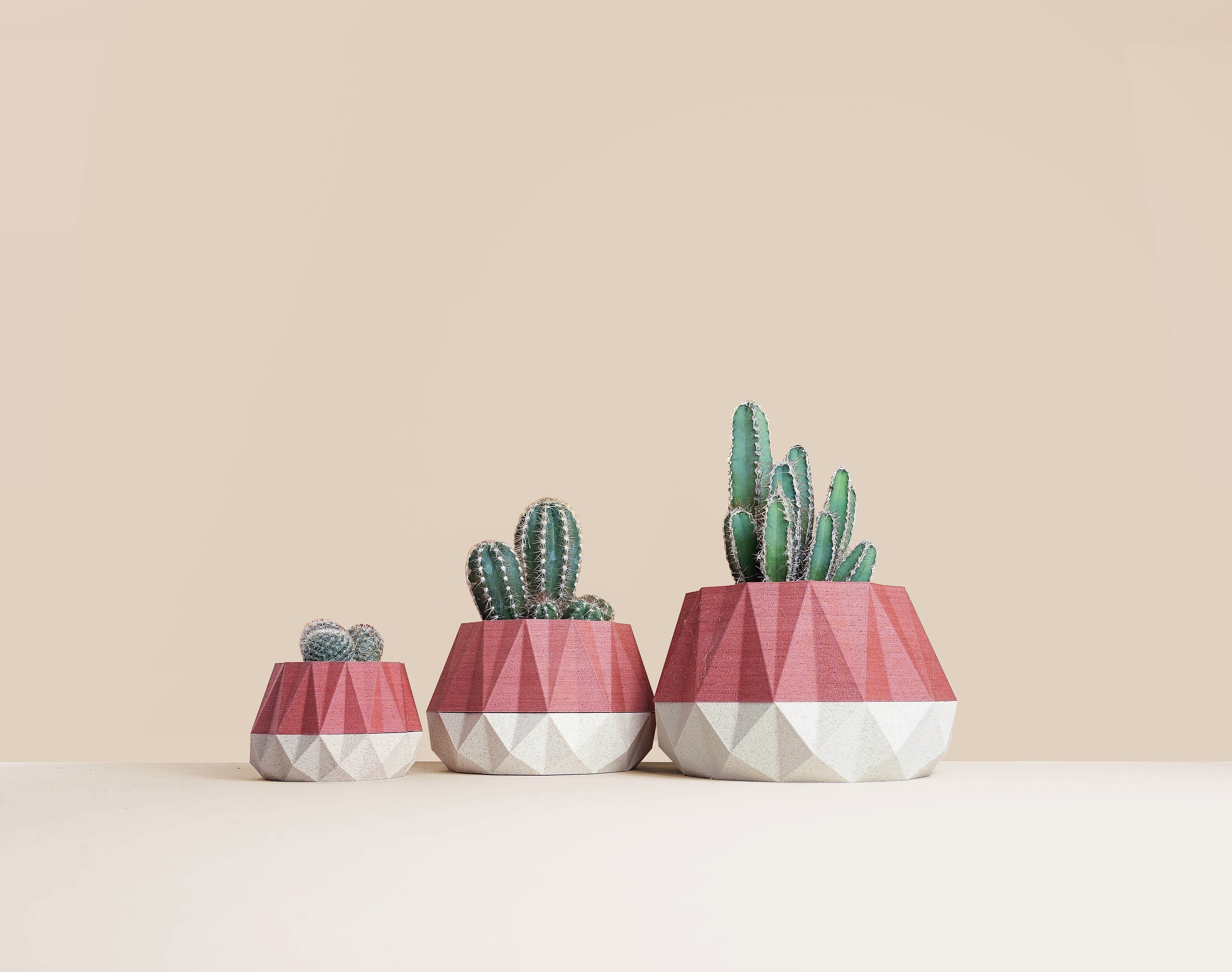 Cache-Pot en Bois Recyclé Pour Cactus et Succulentes, Idée de Décoration Maison Bureau, Scandinave D
