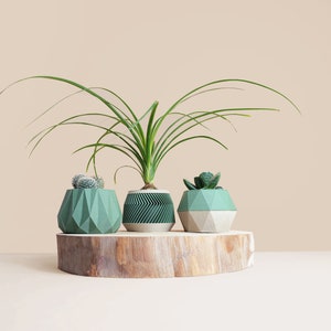 May include: Three geometric concrete planters in shades of green, with a variety of small plants, sitting on a wooden slice.