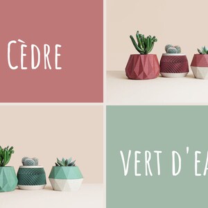 May include: Three geometric planters in different colors, with the words "C&Egrave;DRE" and "VERT D'EAU" in white text on the background.