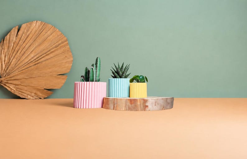 May include: Three cylindrical ribbed planters in pastel pink, light blue, and yellow, each containing a small green succulent plant. The planters are arranged on a circular wooden base next to a large, dried, fan-shaped palm leaf.