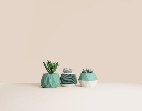 Lot de 3 Pots pour cactus, succulentes, idée de décoration pour maison et bureau, Scandinave Design, cadeau pour la Maison