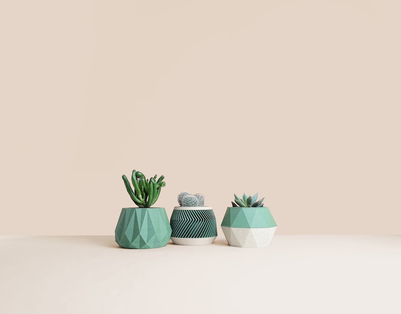 May include: Three geometric planters in shades of green and white, each holding a different succulent plant.