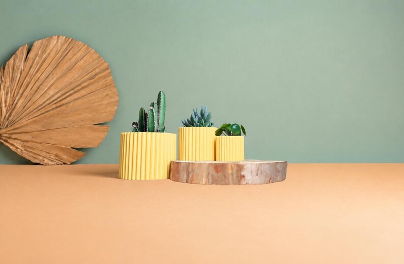 May include: Three yellow cylindrical planters with vertical ribbed textures, each containing a small green plant, arranged on a wooden slice. A large, dried, fan-shaped palm leaf is positioned to the left of the planters.