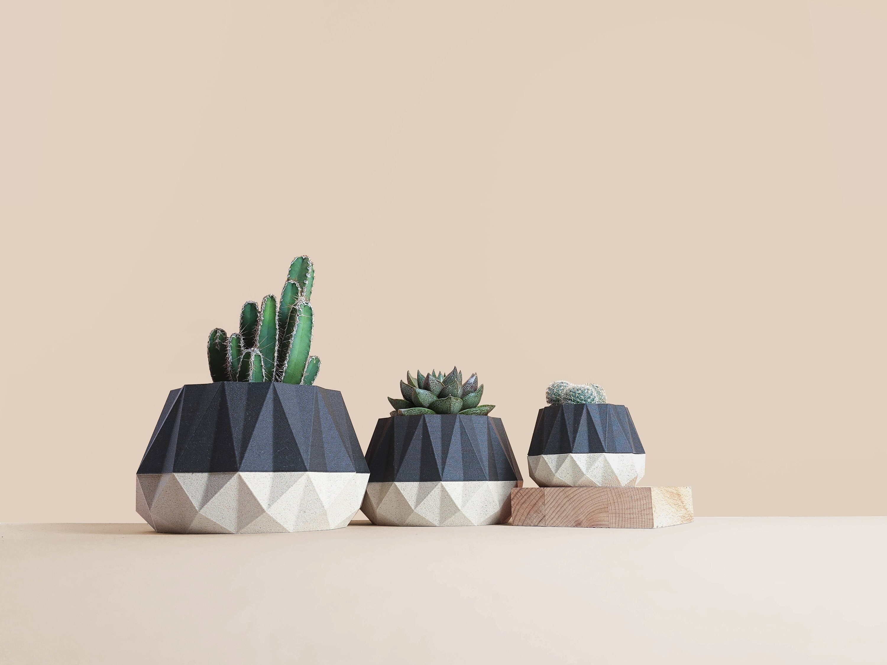 Cache-Pot en Bois Recyclé Pour Cactus et Succulentes, Idée de Décoration Maison Bureau, Scandinave D