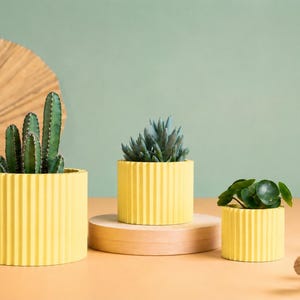 Puede incluir: Tres macetas cilíndricas amarillas y acanaladas de diferentes tamaños, cada una con una planta suculenta diferente. La maceta más grande contiene un cactus alto. El fondo presenta una gran hoja de palma seca y una pared verde apagada.