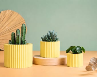 Planter Pot, 3D printed Cactus, Succulent Planters , Mid Century Planters , Idea Gift for home, home decor