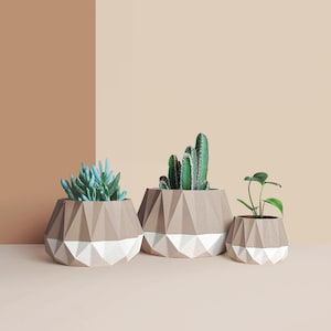 Cache-pot  en bois recyclé pour cactus et succulentes, idée de décoration pour maison et bureau, Scandinave Design, cadeau pour la Maison