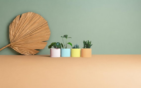 Grand cache-pot en plastique recyclé pour cactus et succulentes, idée de décoration pour maison, Scandinave Design, cadeau pour la Maison