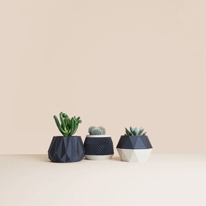 May include: Three geometric concrete planters in black and white with different succulents planted inside. The planters are on a light beige surface.