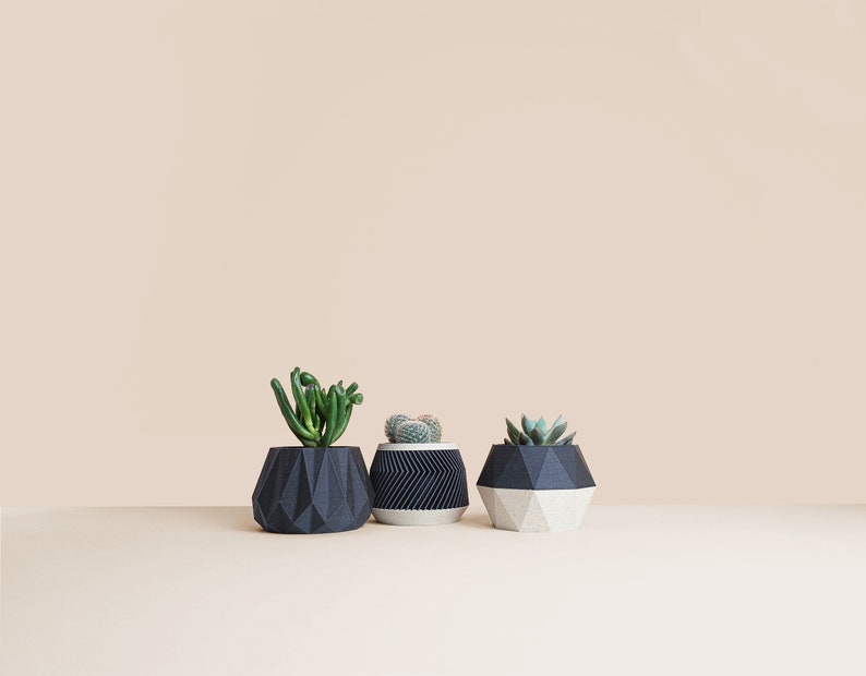 May include: Three geometric concrete planters in black and white with different succulents planted inside. The planters are on a light beige surface.