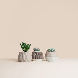 May include: Three geometric concrete planters with succulents in them. The planters are in shades of brown and white. The succulents are green.