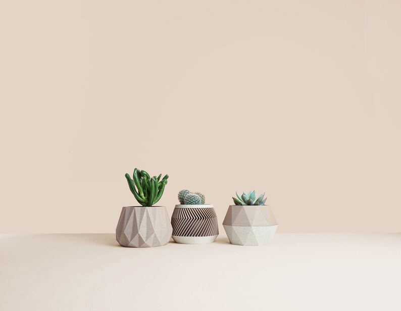May include: Three geometric concrete planters with succulents in them. The planters are in shades of brown and white. The succulents are green.