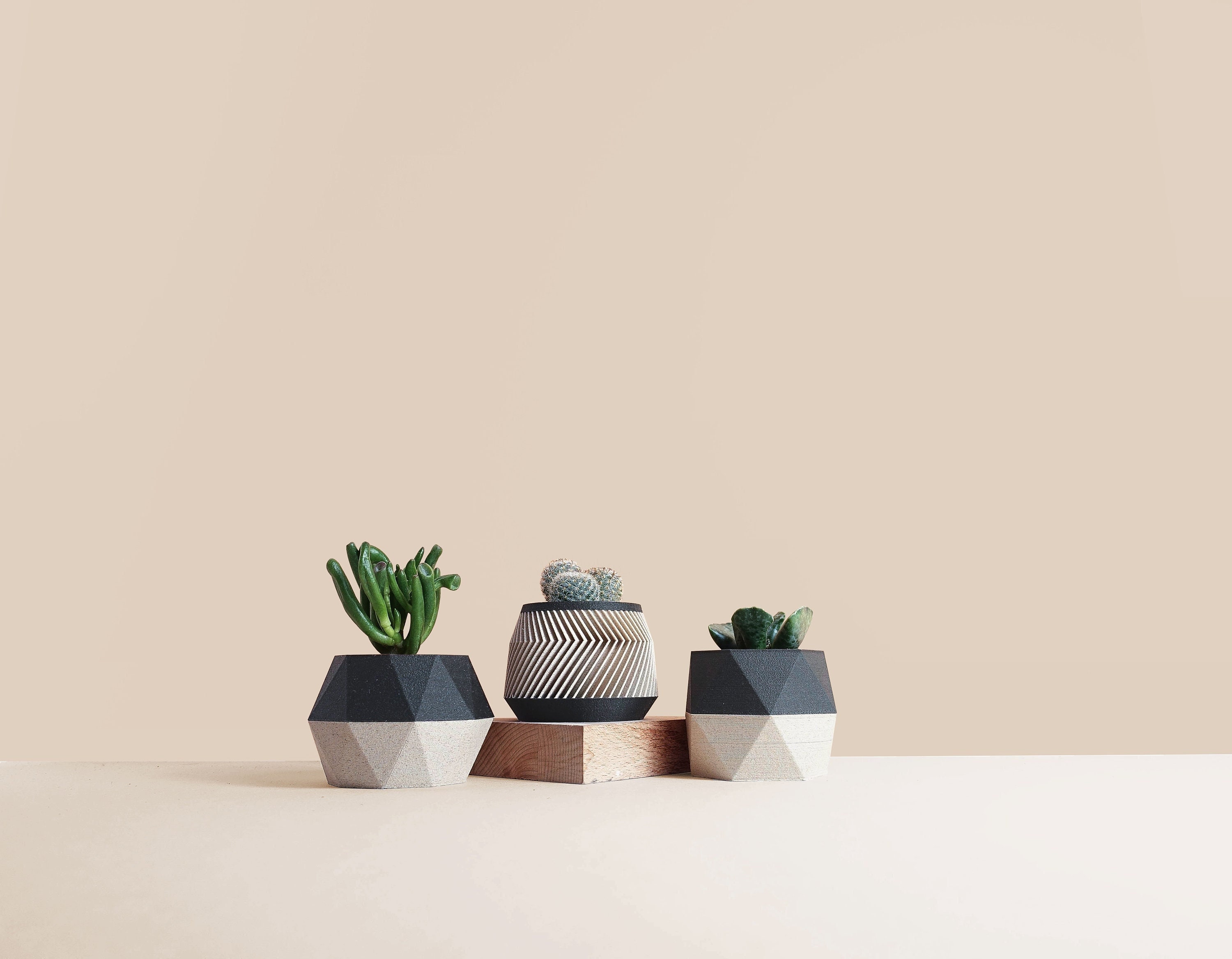 Lot de 3 Pots Pour Cactus, Succulentes , Idée Décoration Maison et Bureau Scandinave Design Cadeau L