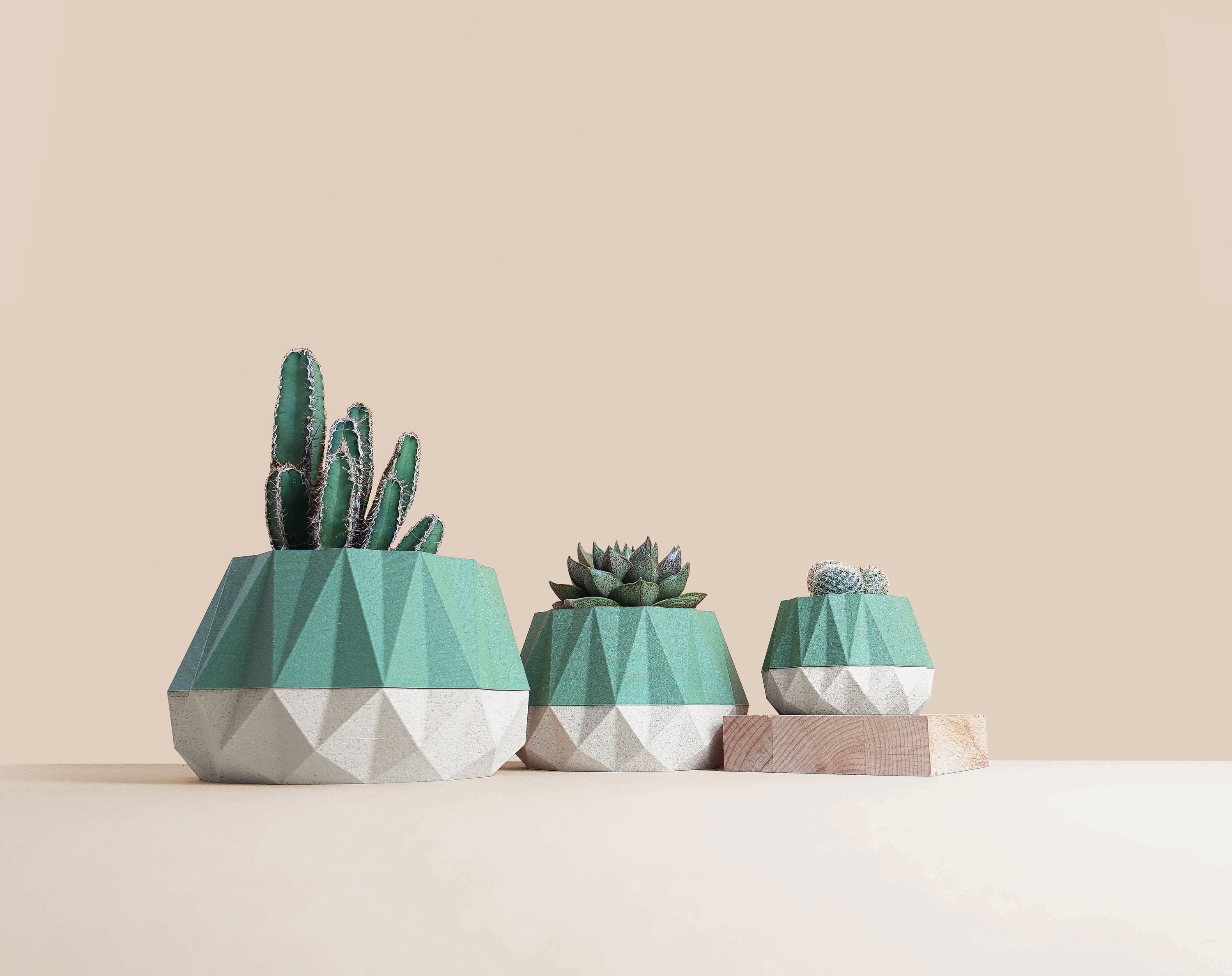 Cache-Pot en Bois Recyclé Pour Cactus et Succulentes, Idée de Décoration Maison Bureau, Scandinave D