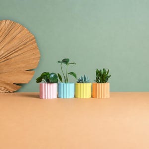 May include: Four small cylindrical planters with vertical ribbed textures in pastel pink, light blue, yellow, and orange. Each planter holds a small green plant, including a succulent and leafy varieties, arranged in a row.