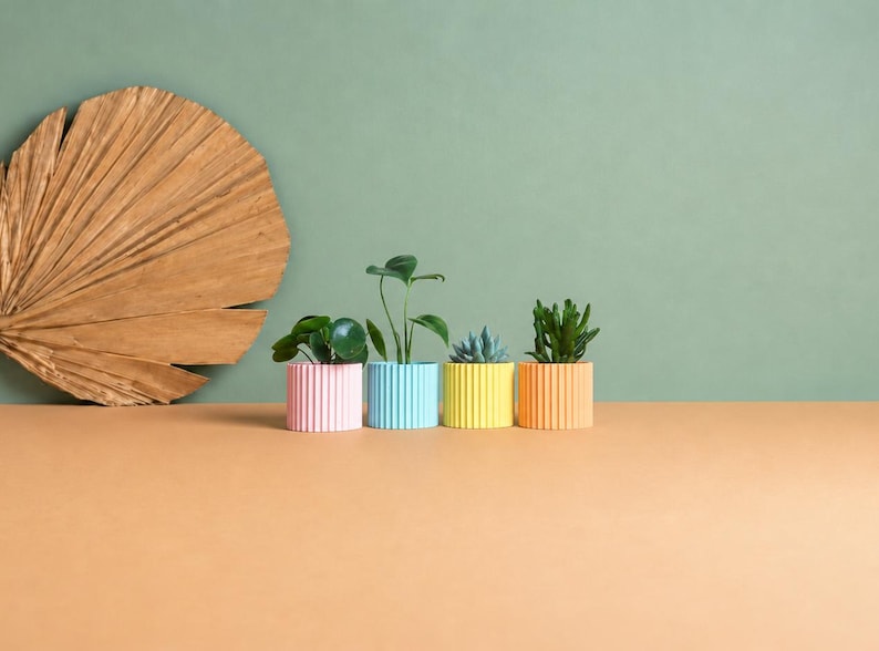 May include: Four small cylindrical planters with vertical ribbed textures in pastel pink, light blue, yellow, and orange. Each planter holds a small green plant, including a succulent and leafy varieties, arranged in a row.