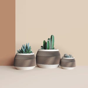 Pflanzgefäß aus recyceltem Holz für Kakteen und Sukkulenten, Deko-Idee für Zuhause und Büro, skandinavisches Design, Geschenk für das Zuhause