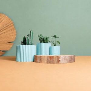 May include: Three light blue cylindrical planters with a vertical ribbed texture, each containing a small green plant. The planters are arranged in a row, with the largest on the left and the smallest on the right, displaying various succulents.