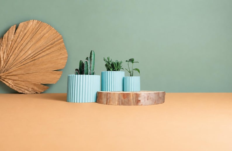 May include: Three light blue cylindrical planters with a vertical ribbed texture, each containing a small green plant. The planters are arranged in a row, with the largest on the left and the smallest on the right, displaying various succulents.