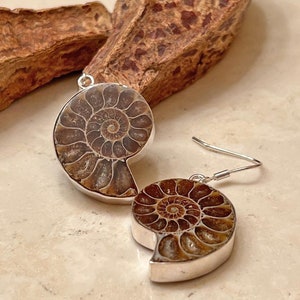 Unique Ammonite Fossil Earrings 925 Sterling Silver &quot;Stargazer&quot;
