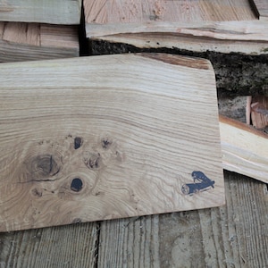 Può includere: Tagliere rettangolare in legno chiaro con un motivo a venature naturali. Presenta un'illustrazione scura di un tronco e una sega. Il tagliere è circondato da tronchi tagliati e poggia su una superficie di legno.