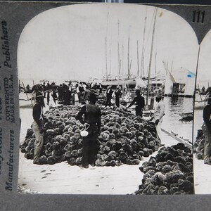c1915 Key West Harbor Sponge Market Florida photo originale carte Stereoview