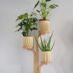 Pflanzenregal aus Holz, Pflanzendisplay für das Haus, Pflanzendekor, Wanddekor