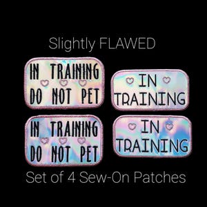May include: Set of four sew-on patches with a holographic background. The patches have the text "IN TRAINING" and "DO NOT PET" in black. Each patch has a pink border and heart accents. The text "Slightly FLAWED" is above the patches.