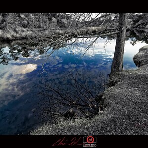 Heron Bayou, mélange noir et blanc couleur, paysage, téléchargement, beaux-arts, professionnel, haut, photo côtière près de Pensacola, FL, Fine Art
