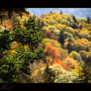 Smoky Mountain National Park. Autumn View, landscape, download, fine art, high resolution, Fine Art