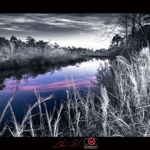 Heron Bayou, mélange noir et blanc couleur, paysage, téléchargement, beaux-arts, professionnel, haut, photo côtière près de Pensacola, FL, Fine Art