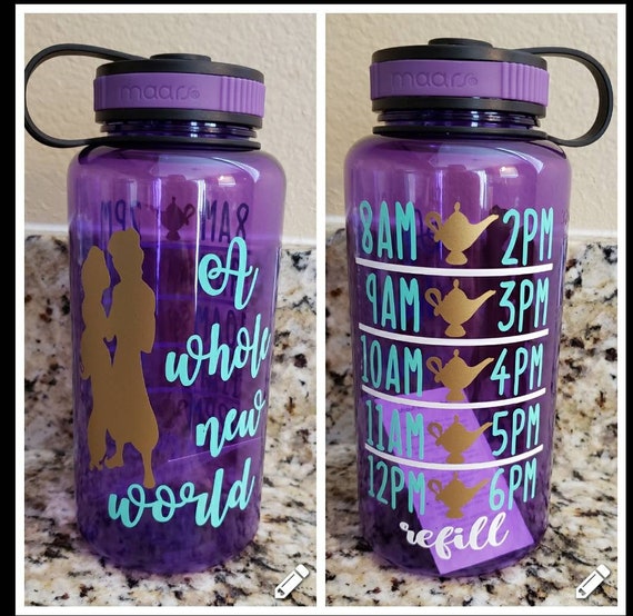 A Whole New World Aladdin and Jasmine Timeline Water Bottle Tracker/ Disney  Princess Water Bottle Tracker/ Maars Widemouth Water Bottle 