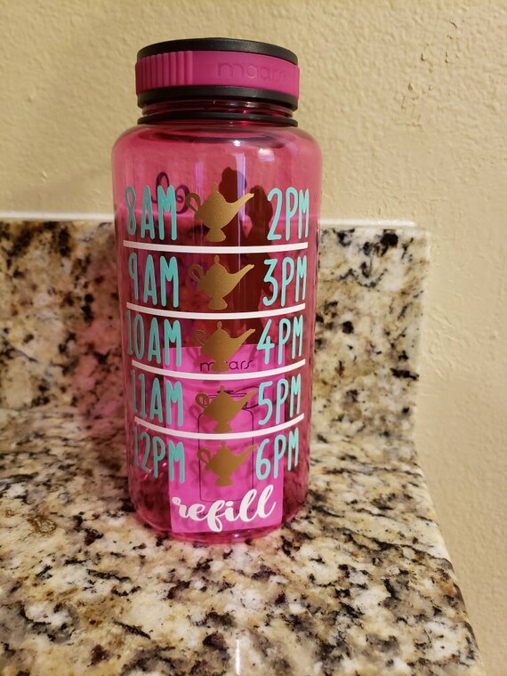 A Whole New World Aladdin and Jasmine Timeline Water Bottle Tracker/ Disney  Princess Water Bottle Tracker/ Maars Widemouth Water Bottle 