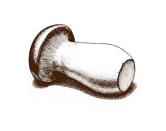 Usługa grawerowania wektorowego na zamówienie | Unikalna grafika liniowa na koszulkach, opakowaniach i brandingu