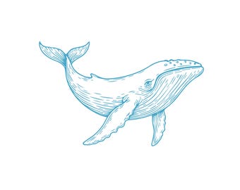 Grafika wektorowa wieloryba: grafika marynistyczna do sublimacji (PNG, EPS, AI)